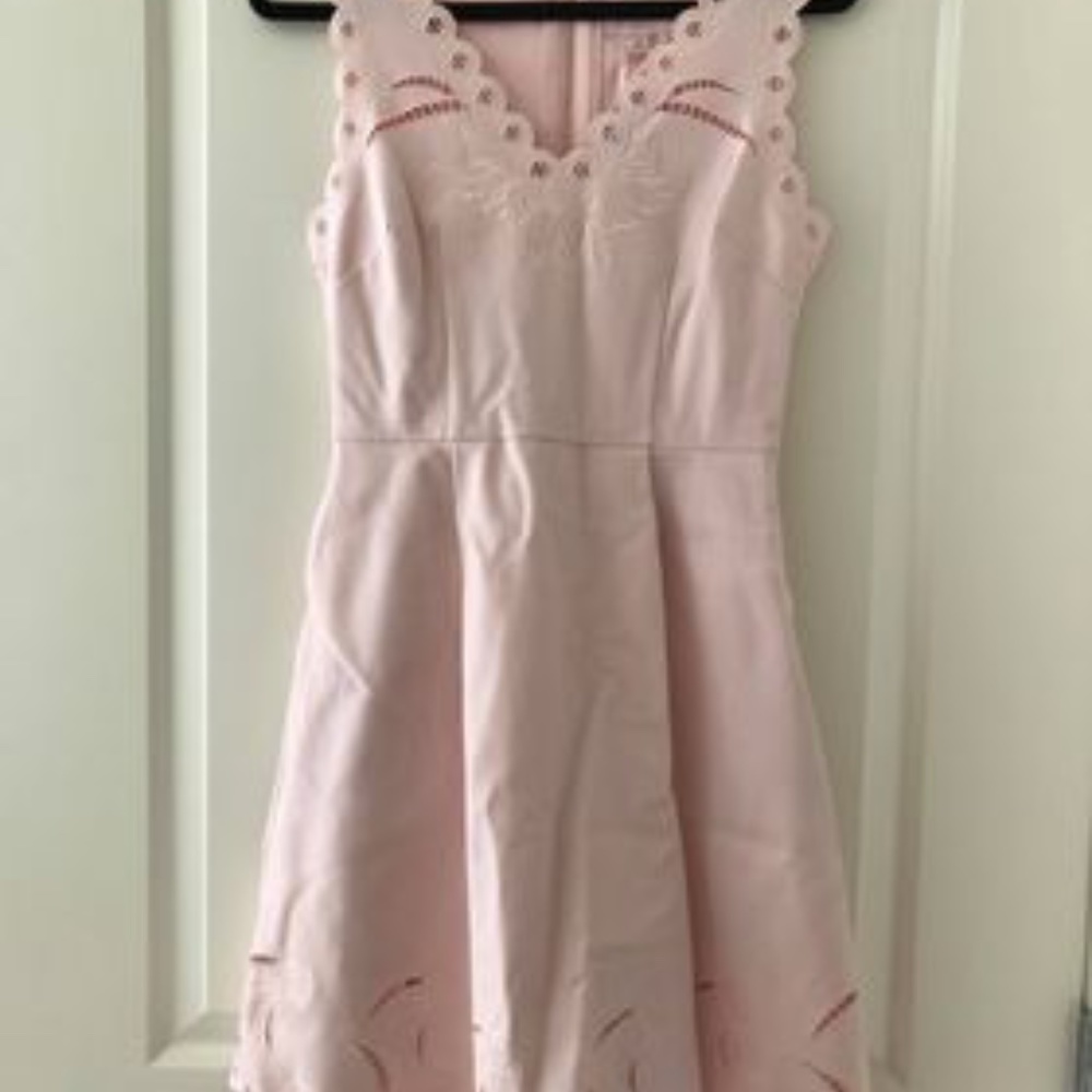 NWT Ted Baker Blush Dress Size 2